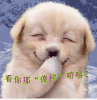 ЦһЦ,ʮ