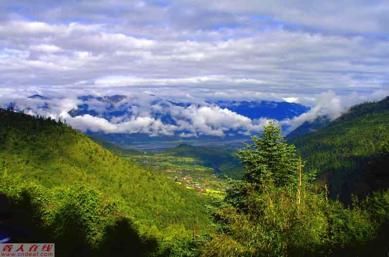 DSC08012.JPG