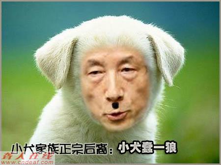 s.jpg