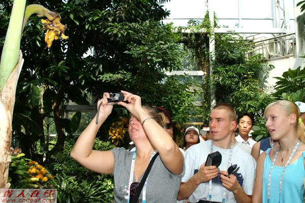 PICT0020.JPG