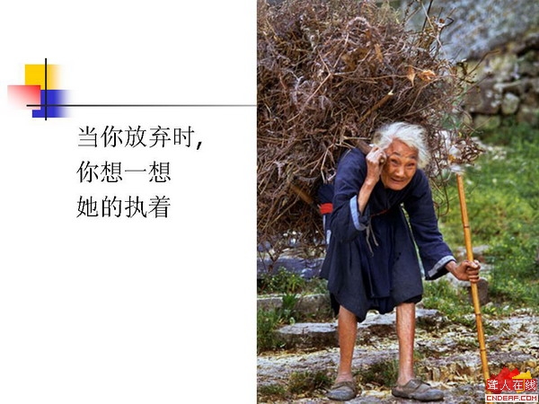 20071114_1ff60be3e5b8688b8e4dcUK1nOiz1Qjm.jpg