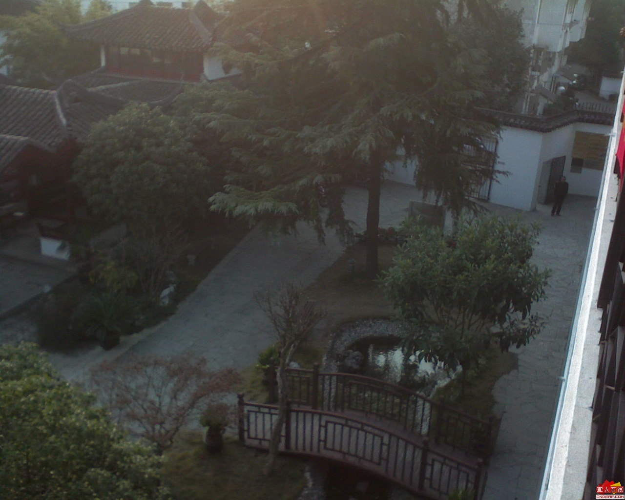 DSC00016.JPG
