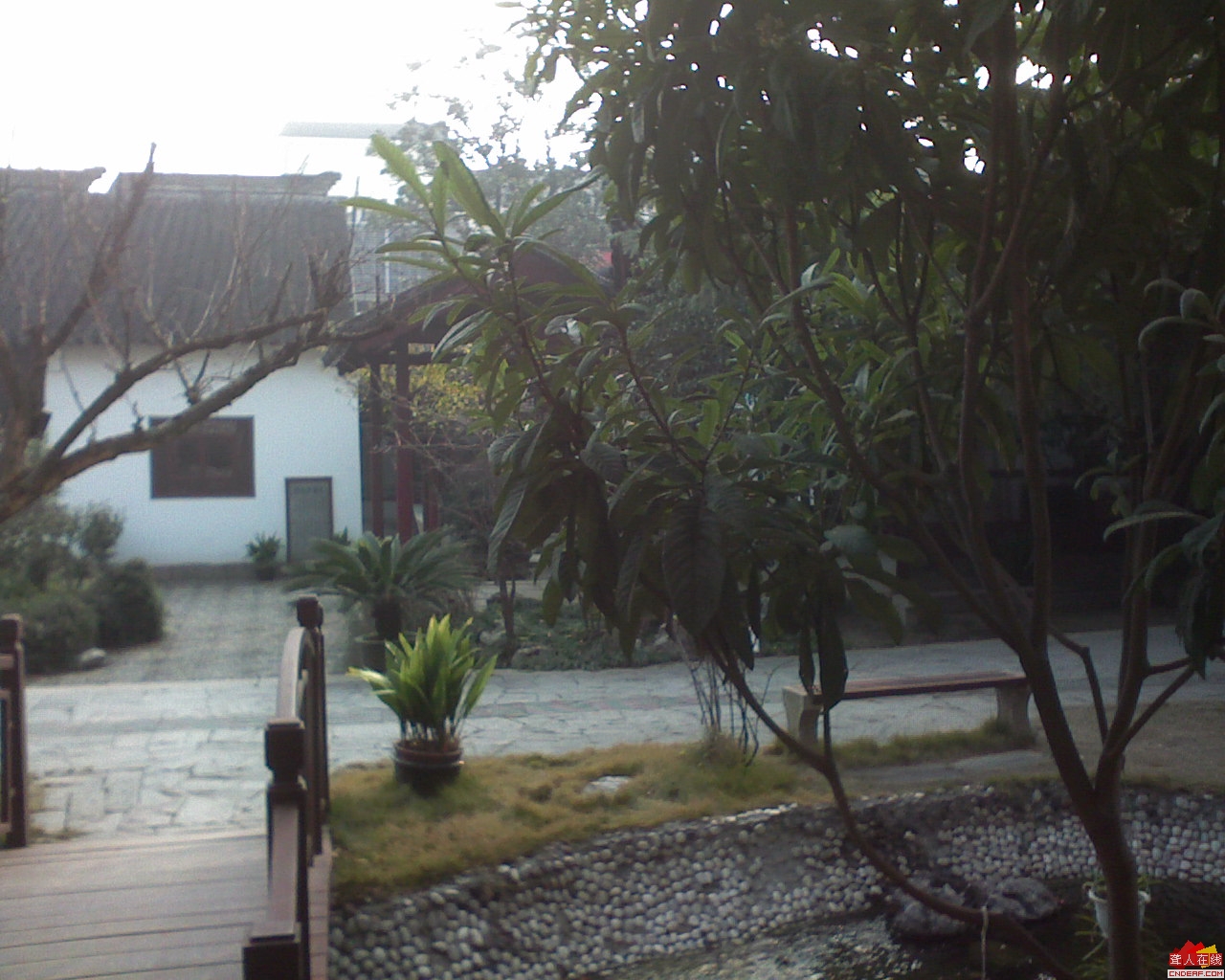DSC00010.JPG