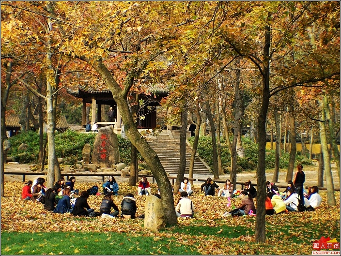 DSCF0611.jpg