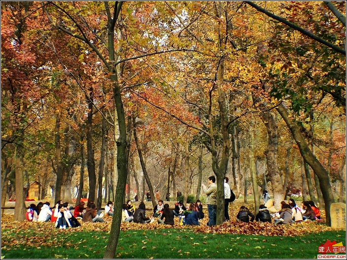 DSCF0610.jpg