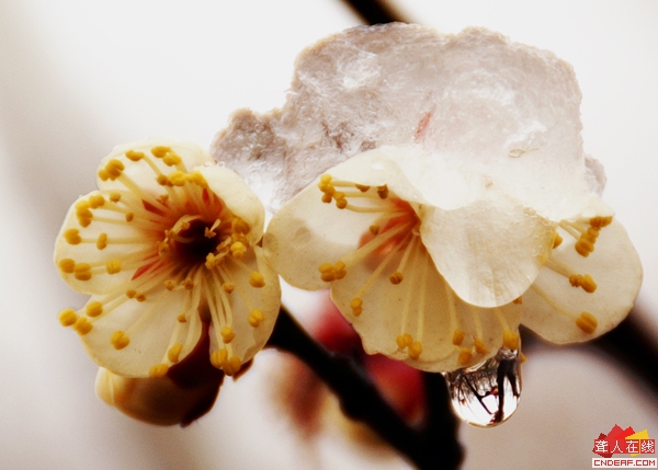 PICT0344.JPG