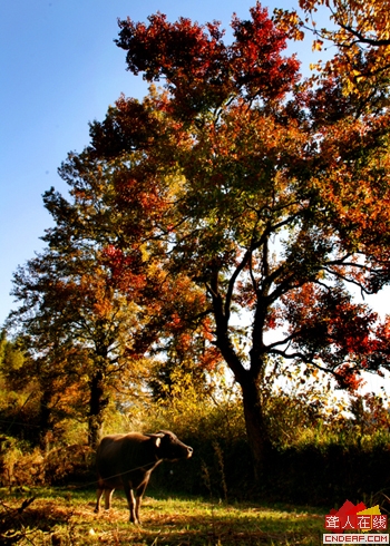 PICT0059.JPG