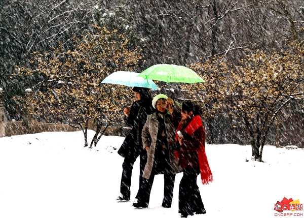 PICT0403.JPG