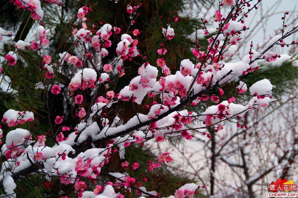 PICT0363.JPG