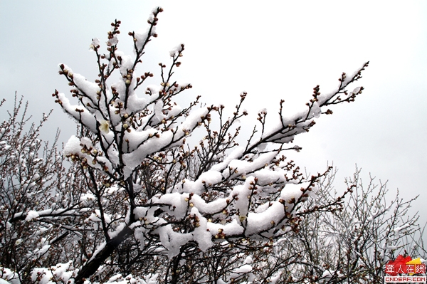 PICT0360.JPG