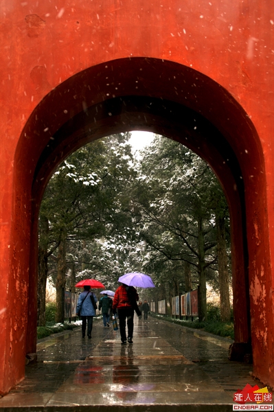 PICT0430.JPG