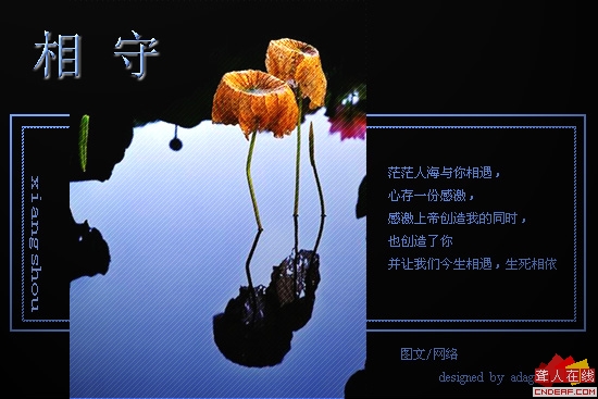 20071105_85fd409fe31ff1023ff3x2WHSFS90Tds.jpg