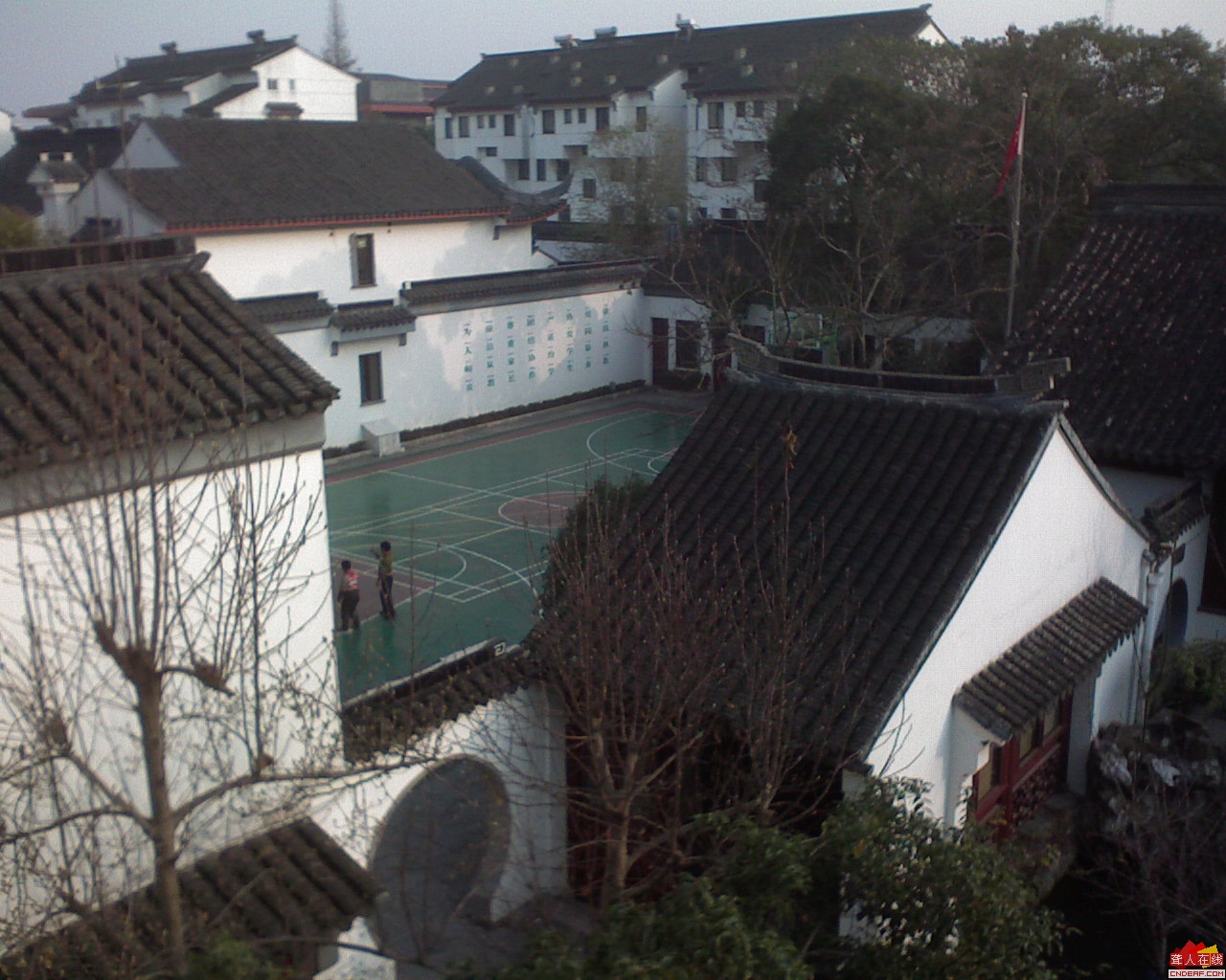 DSC00013.JPG