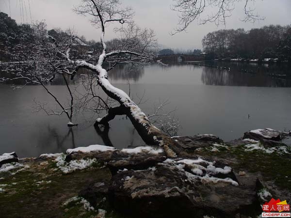 DSC09719.JPG
