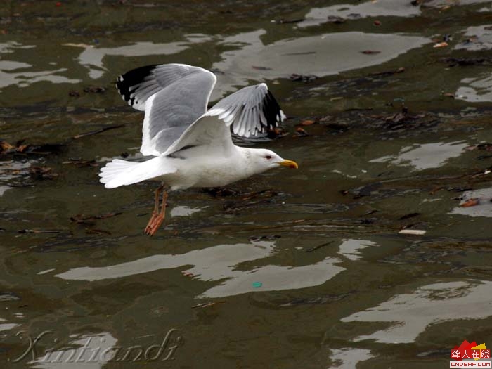 DSC_3249aaaa.jpg
