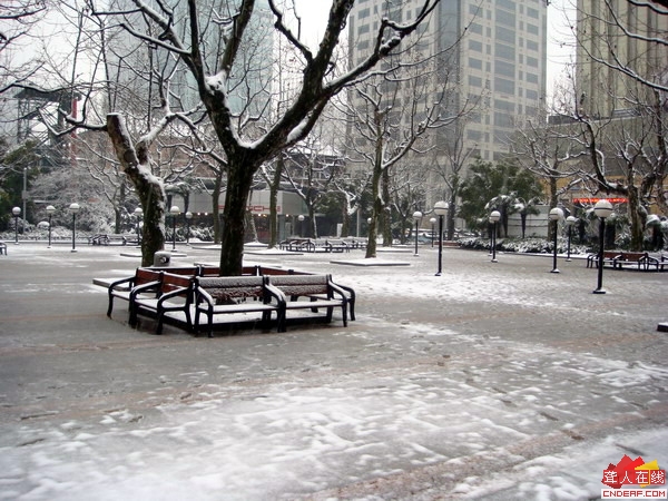 DSC00321.JPG