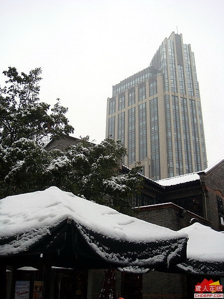 DSC00354.JPG