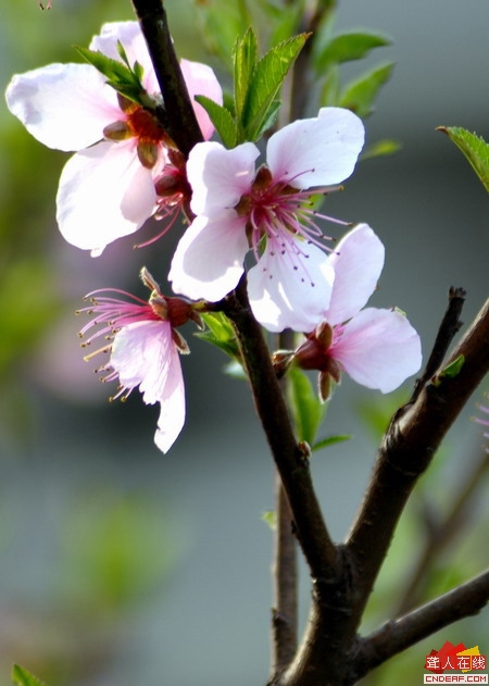 07˳ǻ 041.JPG