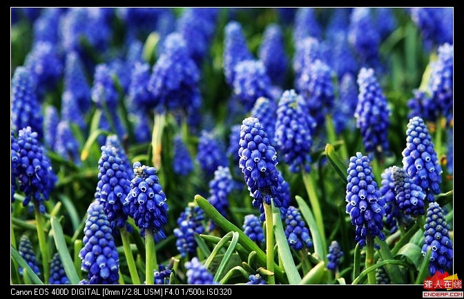 {03791AEE-4278-40A1-9EC8-AD91981A55BE}0.jpg