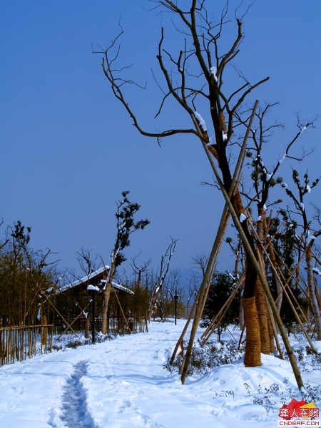 DSC09891.JPG