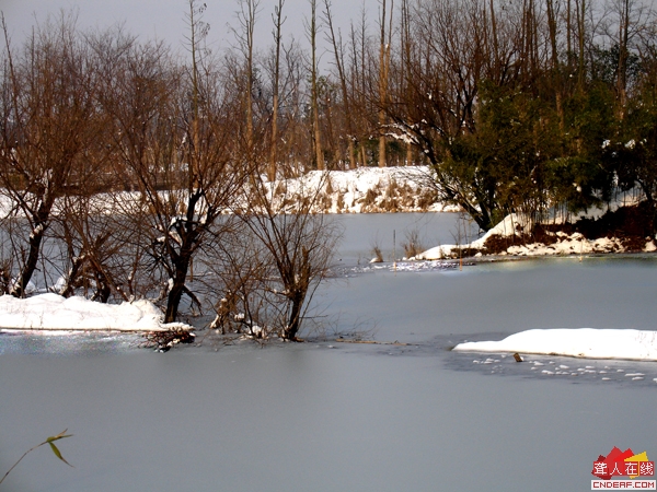 DSC09930.JPG