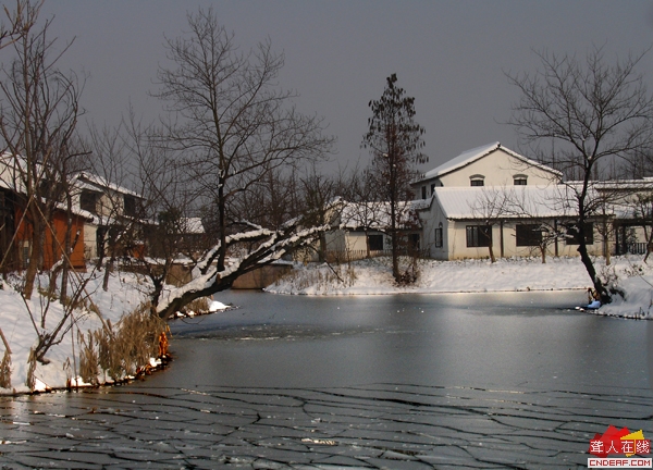 DSC09914.JPG