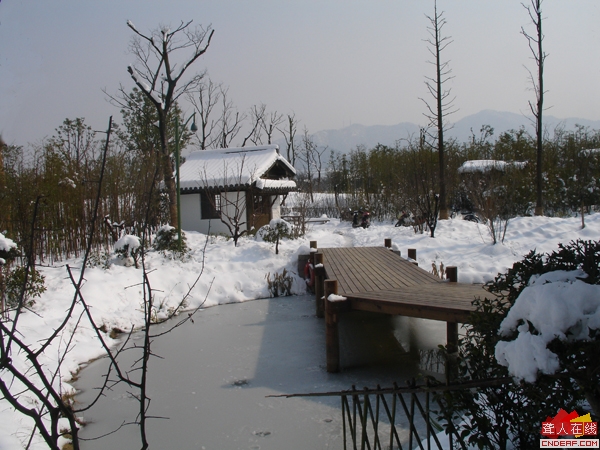 DSC09871.JPG