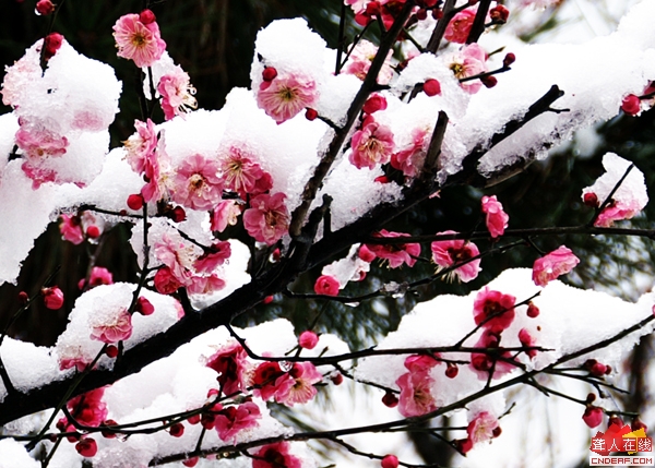 PICT0363.JPG