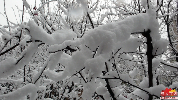 P1040702.JPG