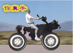 ţ.gif
