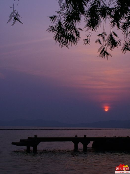 DSCF0114.jpg