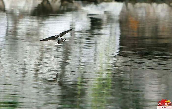 IMG_4470.jpg