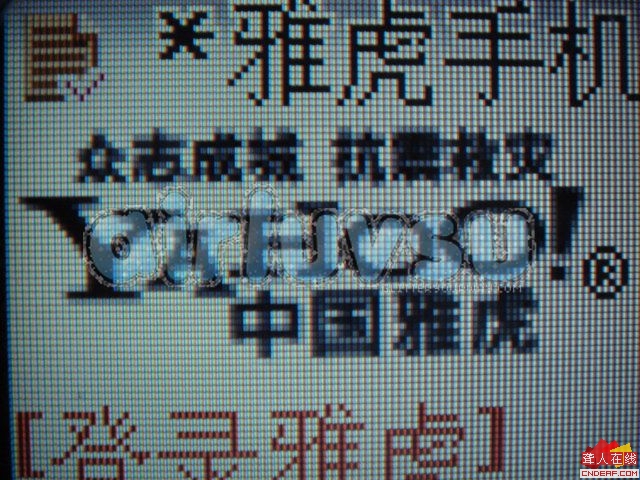 DSC07544.JPG