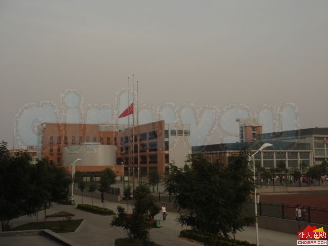 DSC07535.JPG