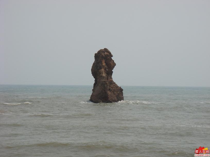 14.JPG
