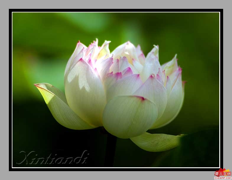 DSC_6071һ.JPG
