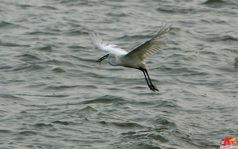 IMG_7729.jpg