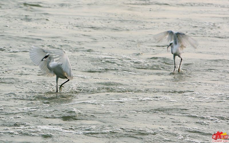 IMG_7736.jpg