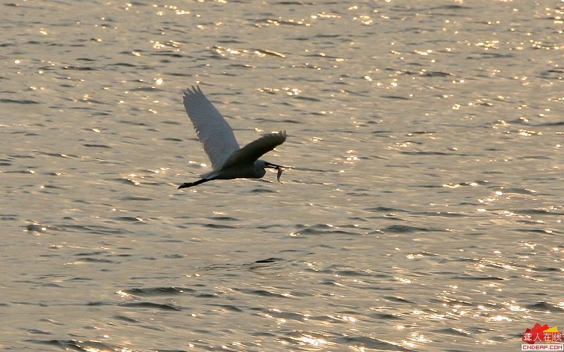 IMG_7751.jpg