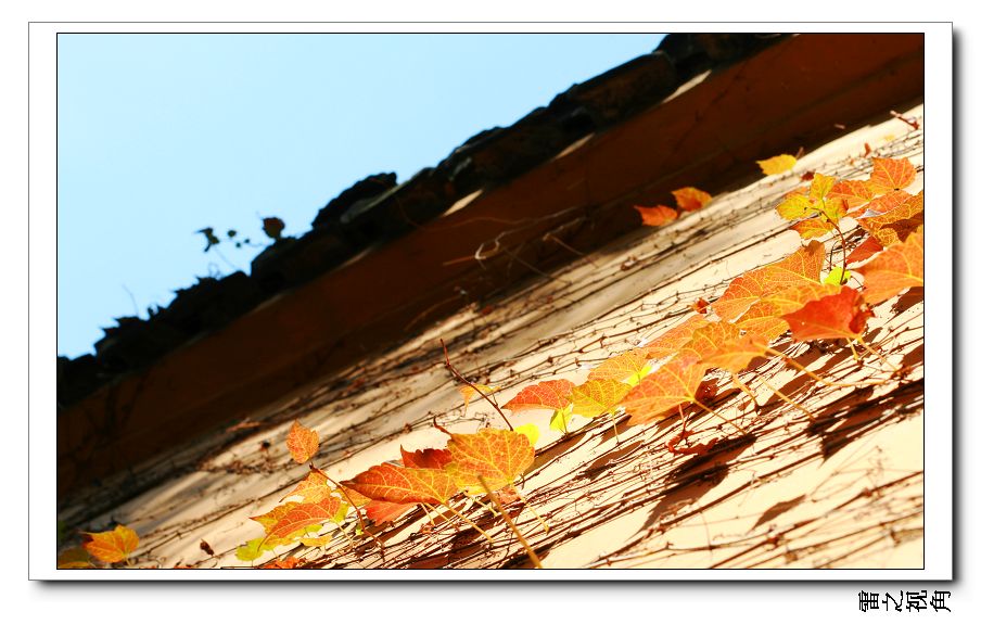 Ƭ 052.jpg