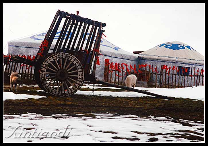DSC_8288b.JPG