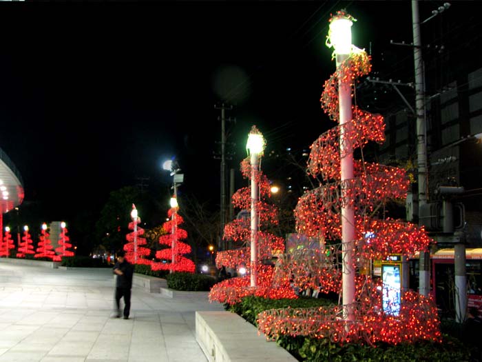 ϴʥҹ12.jpg