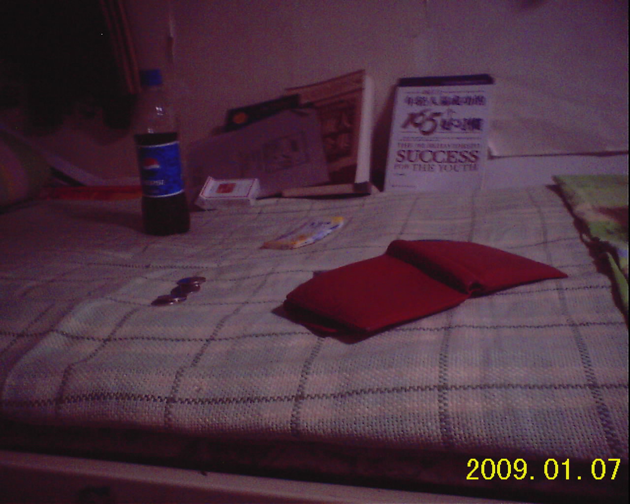 RECO0041.JPG