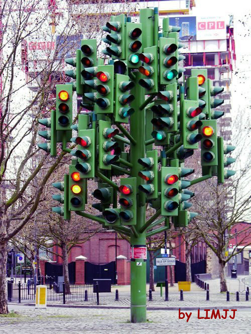 traffic-light-tree-01.jpg