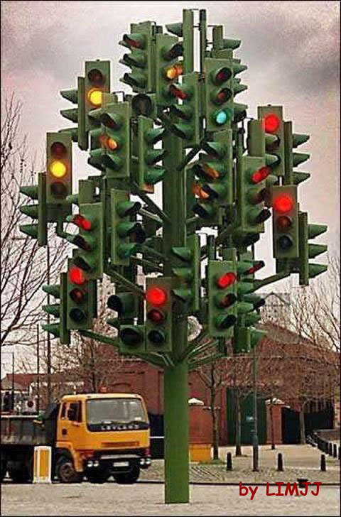 traffic-light-tree-02.jpg