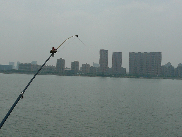 P1100142.JPG