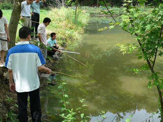 P1100120.JPG