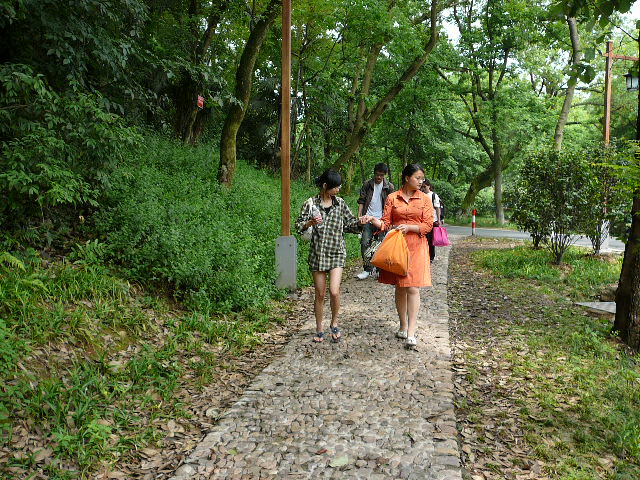 P1100127.JPG