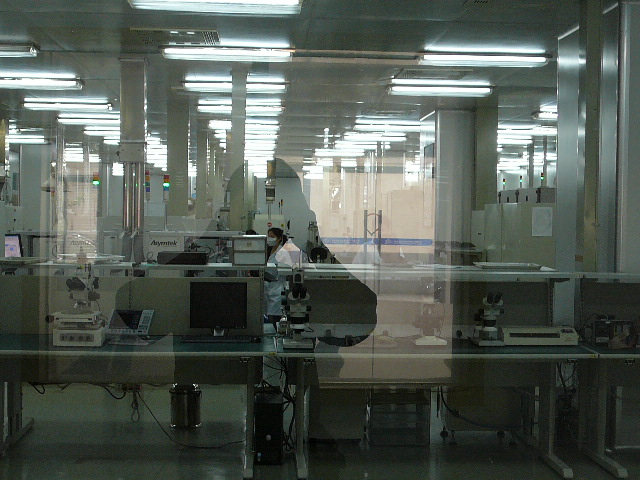 P1100381.JPG