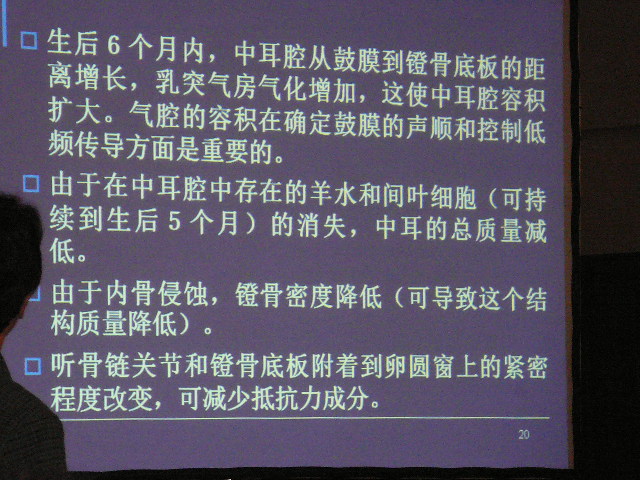 P1100838.JPG